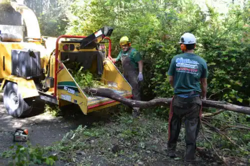 tree services Beloit